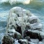 Océan glacial artique