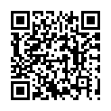 qrcode:http://www.art-logic.info/platinum-palladium-printing,1576