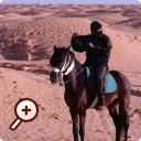 photo : Un cavalier, qui surgit hors de la de la nuit, court vers l'aventure au galop...